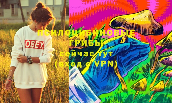 mdpv Баксан