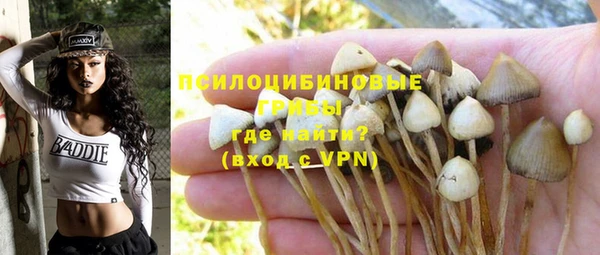 mdpv Баксан