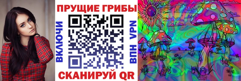Псилоцибиновые грибы Cubensis kraken Семёнов купить наркотики цена
